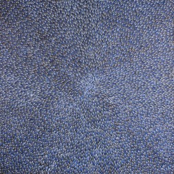 MB044824 - Abie Loy Kemarre