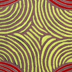MB044840 - Ada Bird Petyarre