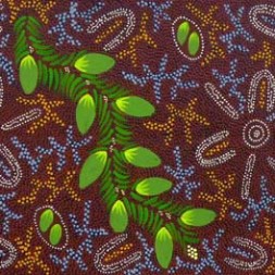 MB046509 - Tanya Price Nangala